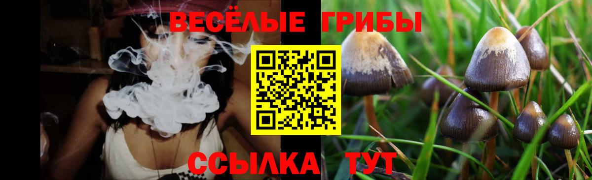Галлюциногенные грибы прущие грибы Корсаков